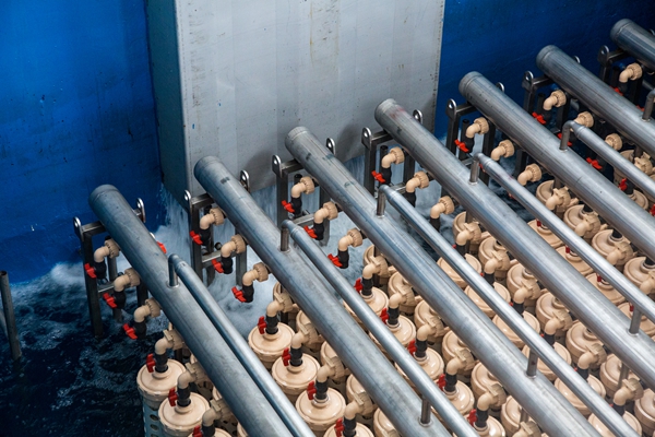 首页| esball世博中国区官方网站