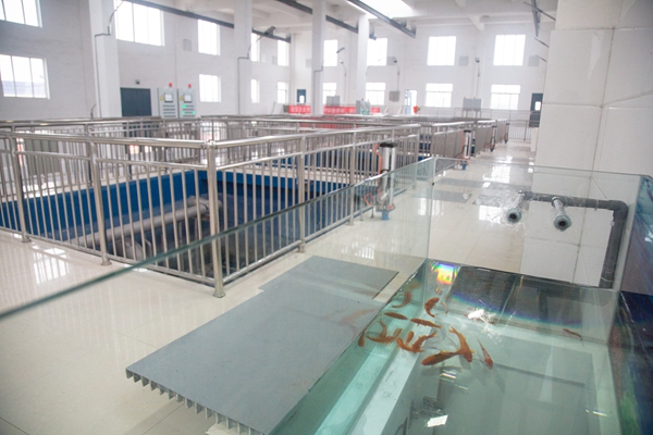 首页| esball世博中国区官方网站