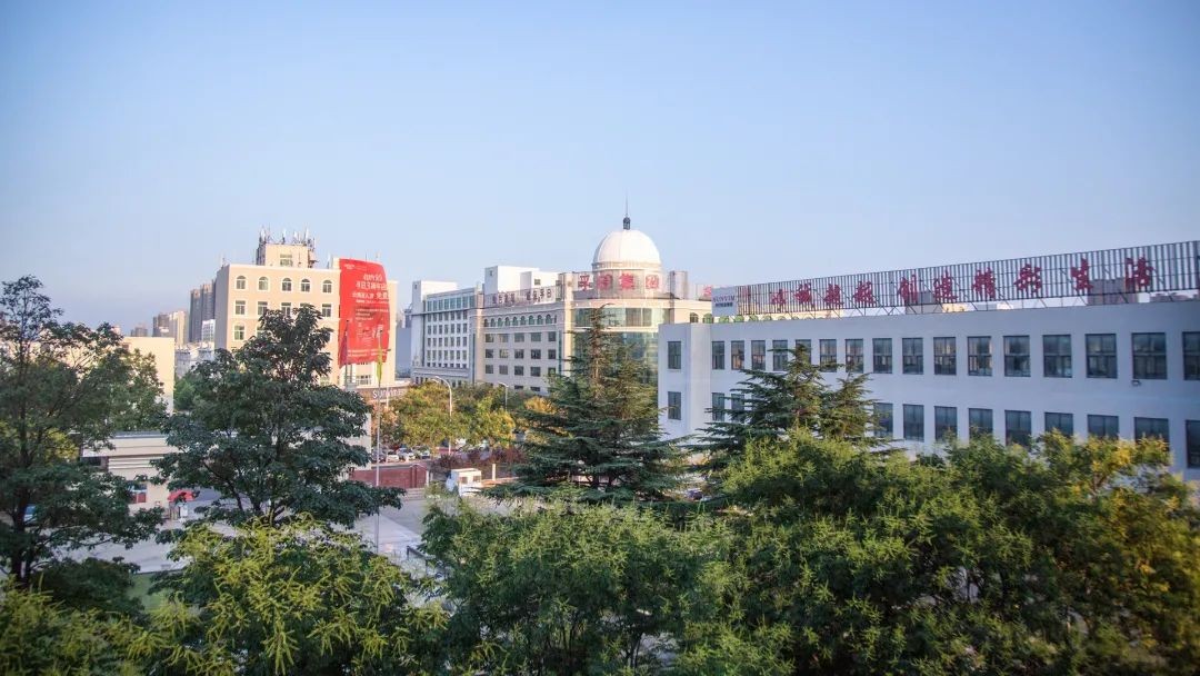 新华财经：esball为山东外贸“逆风而上”写下生动注脚