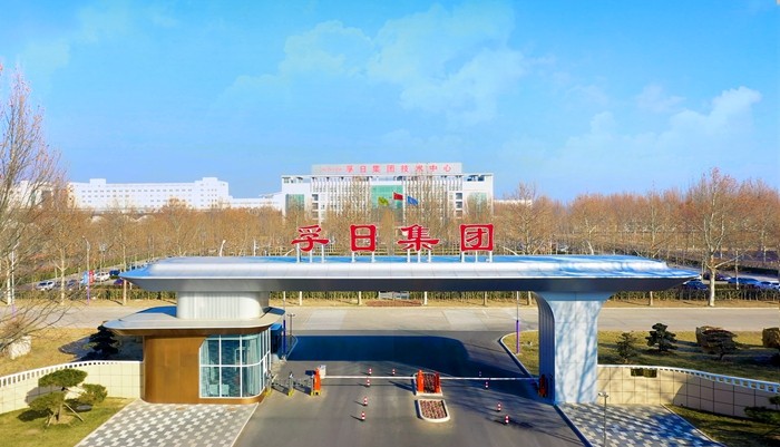 esball电机、、esball宣威同获山东省专精特新企业声誉称呼